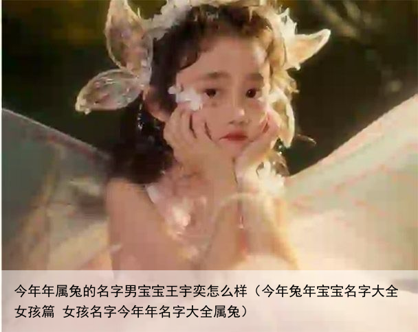 今年年属兔的名字男宝宝王宇奕怎么样（今年兔年宝宝名字大全女孩篇 女孩名字今年年名字大全属兔）