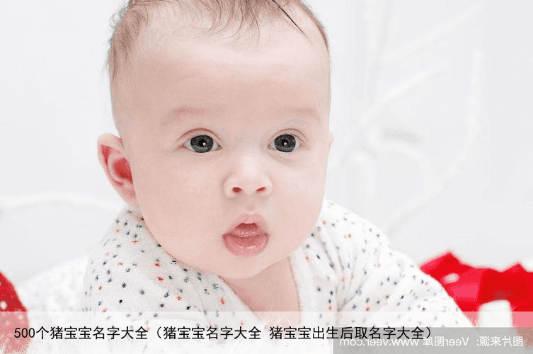 500个猪宝宝名字大全（猪宝宝名字大全 猪宝宝出生后取名字大全）