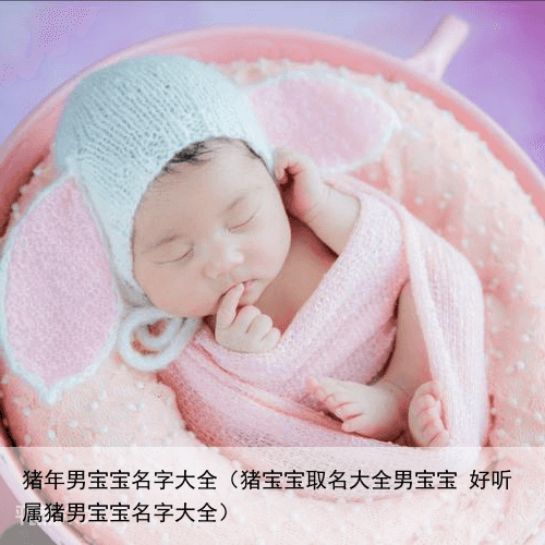猪年男宝宝名字大全（猪宝宝取名大全男宝宝 好听属猪男宝宝名字大全）