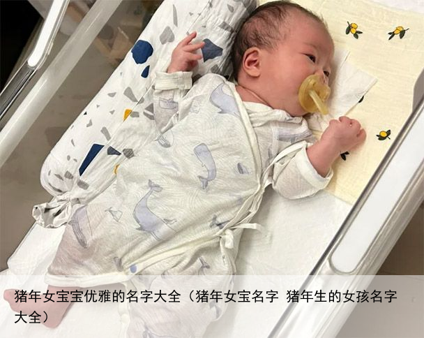 猪年女宝宝优雅的名字大全（猪年女宝名字 猪年生的女孩名字大全）