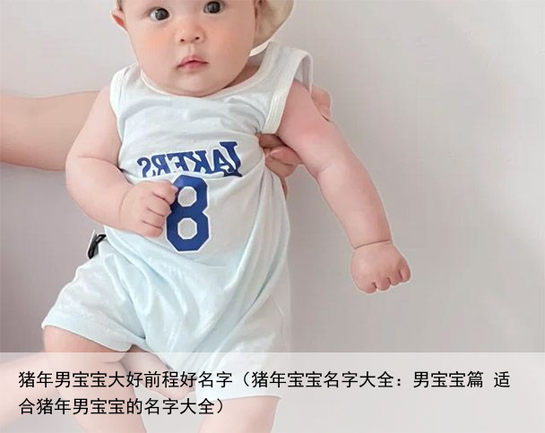 猪年男宝宝大好前程好名字（猪年宝宝名字大全：男宝宝篇 适合猪年男宝宝的名字大全）
