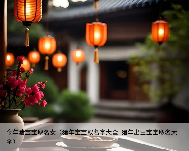 今年猪宝宝取名女（猪年宝宝取名字大全 猪年出生宝宝取名大全）