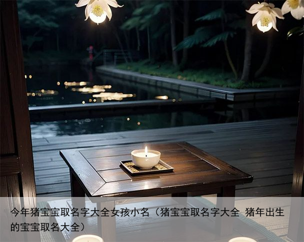 今年猪宝宝取名字大全女孩小名（猪宝宝取名字大全 猪年出生的宝宝取名大全）