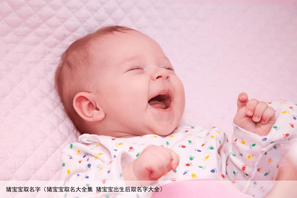 猪宝宝取名字（猪宝宝取名大全集 猪宝宝出生后取名字大全）