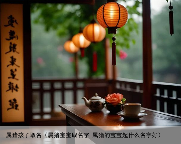 属猪孩子取名（属猪宝宝取名字 属猪的宝宝起什么名字好）