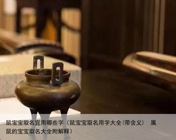 鼠宝宝取名宜用哪些字（鼠宝宝取名用字大全(带含义)  属鼠的宝宝取名大全附解释）