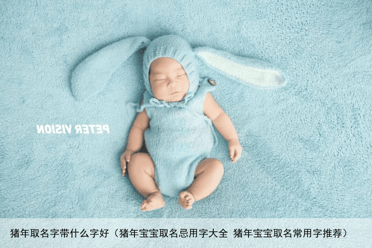 猪年取名字带什么字好（猪年宝宝取名忌用字大全 猪年宝宝取名常用字推荐）