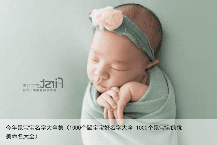 今年鼠宝宝名字大全集（1000个鼠宝宝好名字大全 1000个鼠宝宝的优美命名大全）