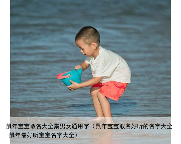 鼠年宝宝取名大全集男女通用字（鼠年宝宝取名好听的名字大全 鼠年最好听宝宝名字大全）