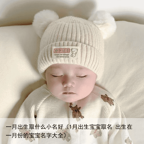 一月出生取什么小名好（1月出生宝宝取名 出生在一月份的宝宝名字大全）