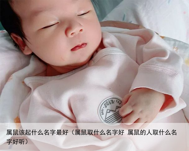 属鼠该起什么名字最好（属鼠取什么名字好 属鼠的人取什么名字好听）