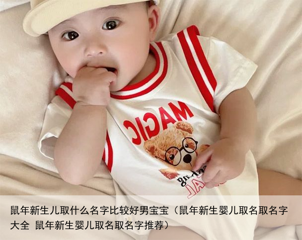 鼠年新生儿取什么名字比较好男宝宝（鼠年新生婴儿取名取名字大全 鼠年新生婴儿取名取名字推荐）