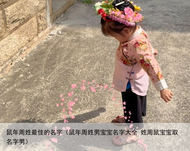 鼠年周姓最佳的名字（鼠年周姓男宝宝名字大全 姓周鼠宝宝取名字男）