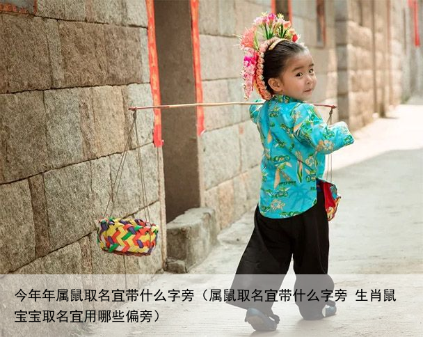 今年年属鼠取名宜带什么字旁（属鼠取名宜带什么字旁 生肖鼠宝宝取名宜用哪些偏旁）