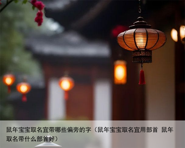 鼠年宝宝取名宜带哪些偏旁的字（鼠年宝宝取名宜用部首 鼠年取名带什么部首好）