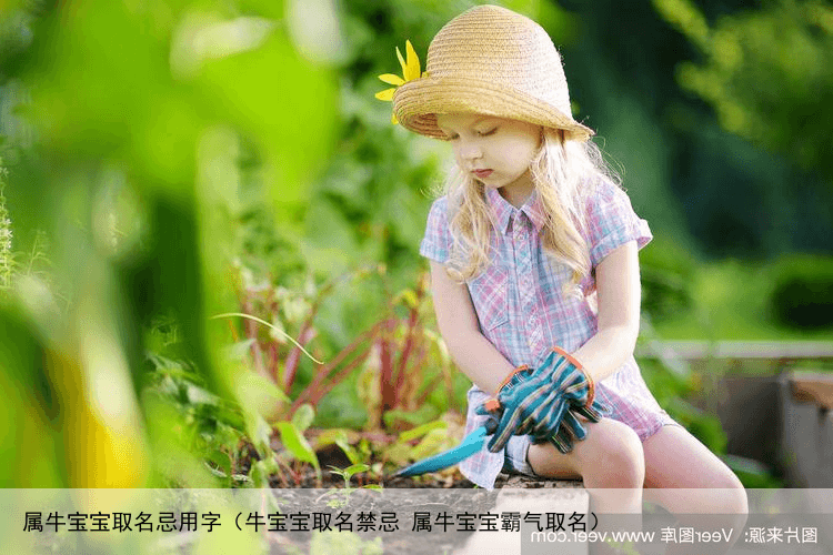 属牛宝宝取名忌用字（牛宝宝取名禁忌 属牛宝宝霸气取名）