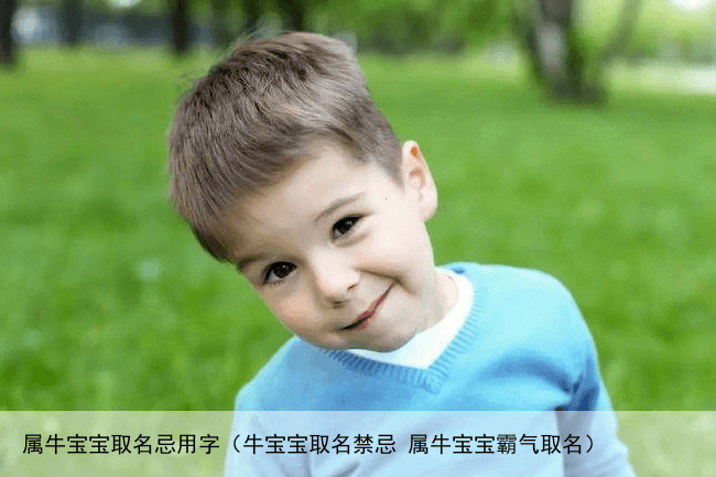 属牛宝宝取名忌用字（牛宝宝取名禁忌 属牛宝宝霸气取名）