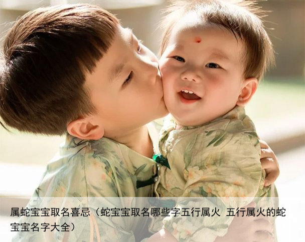 属蛇宝宝取名喜忌（蛇宝宝取名哪些字五行属火 五行属火的蛇宝宝名字大全）