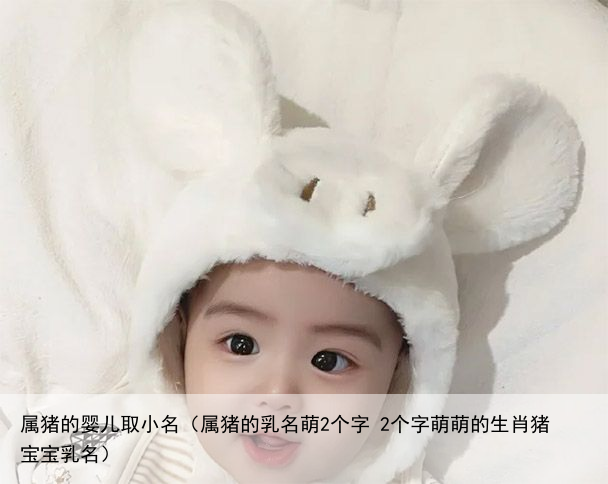 属猪的婴儿取小名（属猪的乳名萌2个字 2个字萌萌的生肖猪宝宝乳名）