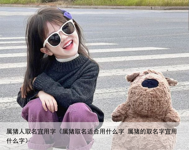 属猪人取名宜用字（属猪取名适合用什么字 属猪的取名字宜用什么字）