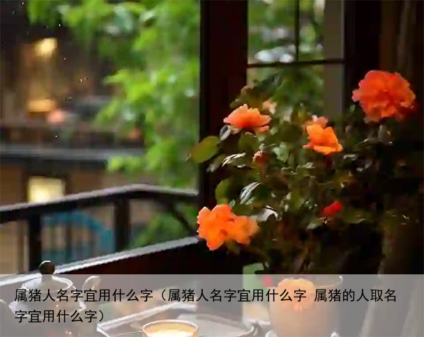 属猪人名字宜用什么字（属猪人名字宜用什么字 属猪的人取名字宜用什么字）