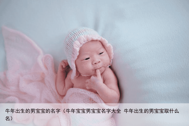 牛年出生的男宝宝的名字（牛年宝宝男宝宝名字大全 牛年出生的男宝宝取什么名）