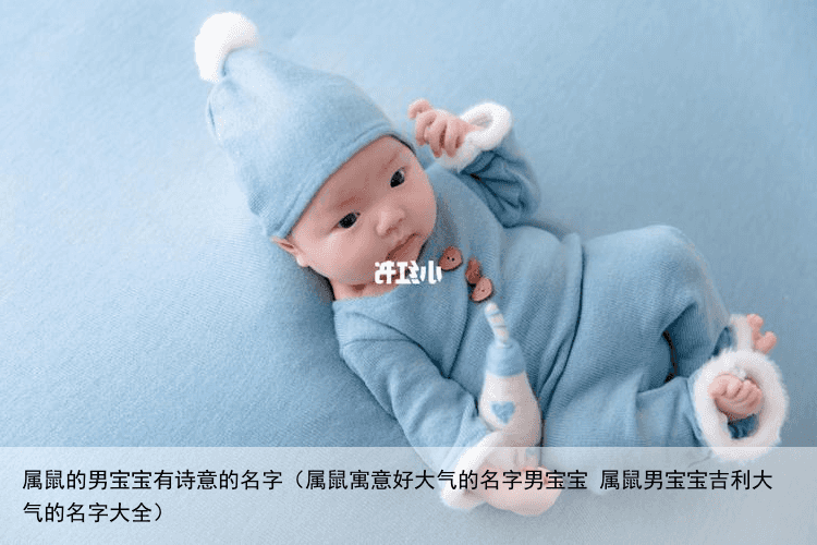 属鼠的男宝宝有诗意的名字（属鼠寓意好大气的名字男宝宝 属鼠男宝宝吉利大气的名字大全）