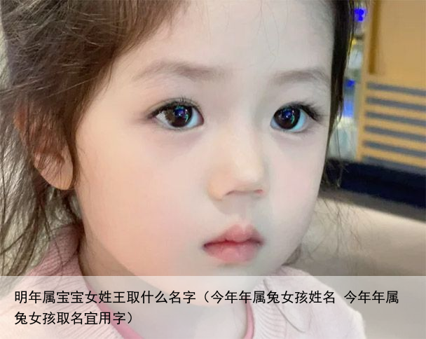 明年属宝宝女姓王取什么名字（今年年属兔女孩姓名 今年年属兔女孩取名宜用字）
