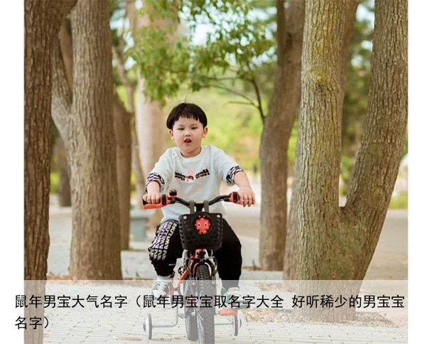鼠年男宝大气名字（鼠年男宝宝取名字大全 好听稀少的男宝宝名字）