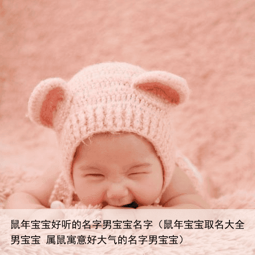 鼠年宝宝好听的名字男宝宝名字（鼠年宝宝取名大全男宝宝 属鼠寓意好大气的名字男宝宝）