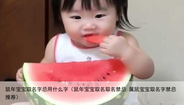 鼠年宝宝取名字忌用什么字（鼠年宝宝取名取名禁忌 属鼠宝宝取名字禁忌推荐）