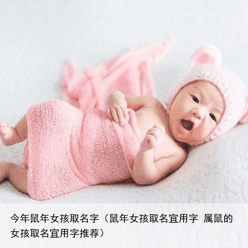 今年鼠年女孩取名字（鼠年女孩取名宜用字 属鼠的女孩取名宜用字推荐）