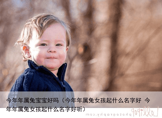 今年年属兔宝宝好吗（今年年属兔女孩起什么名字好 今年年属兔女孩起什么名字好听）