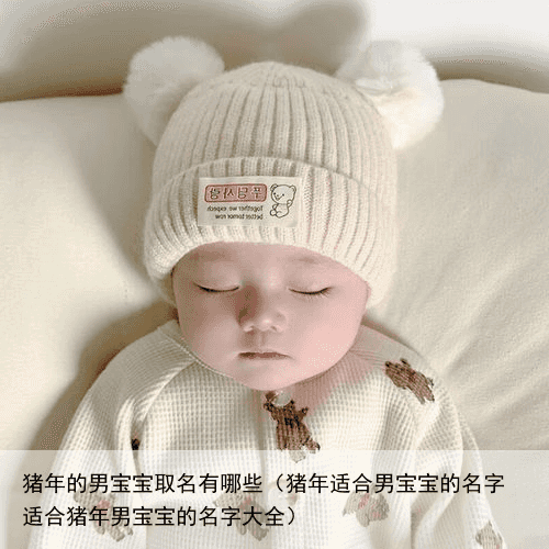 猪年的男宝宝取名有哪些（猪年适合男宝宝的名字 适合猪年男宝宝的名字大全）