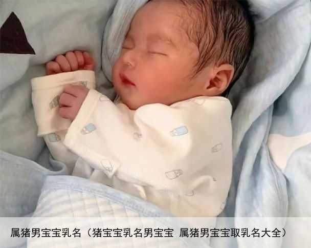 属猪男宝宝乳名（猪宝宝乳名男宝宝 属猪男宝宝取乳名大全）