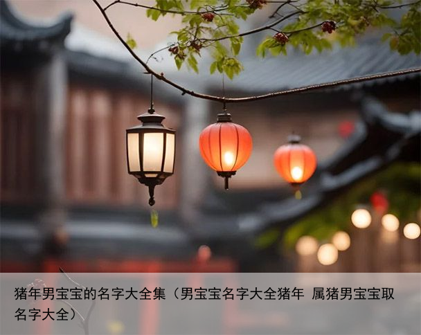 猪年男宝宝的名字大全集（男宝宝名字大全猪年 属猪男宝宝取名字大全）