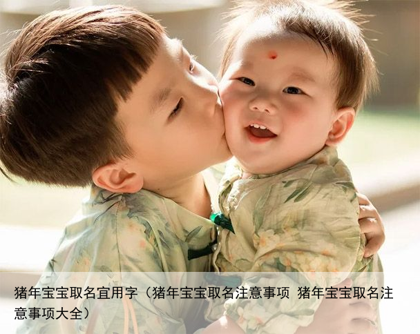 猪年宝宝取名宜用字（猪年宝宝取名注意事项 猪年宝宝取名注意事项大全）