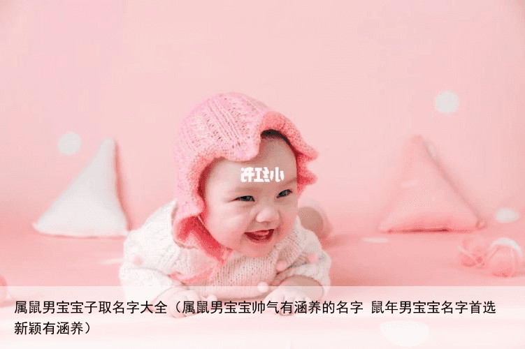 属鼠男宝宝子取名字大全（属鼠男宝宝帅气有涵养的名字 鼠年男宝宝名字首选新颖有涵养）