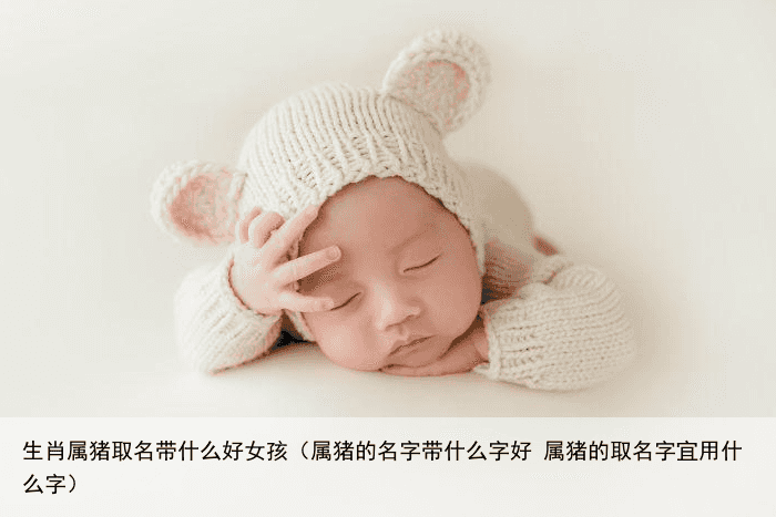 生肖属猪取名带什么好女孩（属猪的名字带什么字好 属猪的取名字宜用什么字）