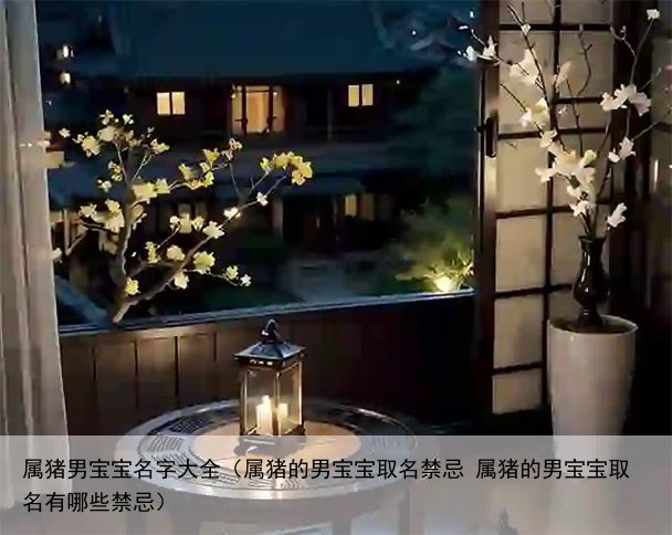 属猪男宝宝名字大全（属猪的男宝宝取名禁忌 属猪的男宝宝取名有哪些禁忌）