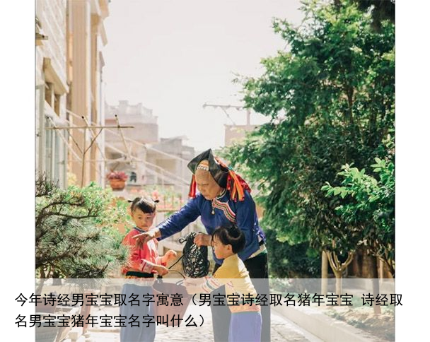 今年诗经男宝宝取名字寓意（男宝宝诗经取名猪年宝宝 诗经取名男宝宝猪年宝宝名字叫什么）