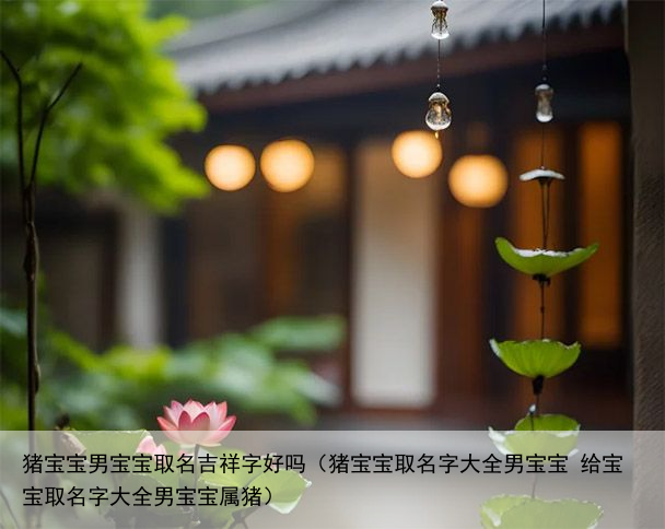猪宝宝男宝宝取名吉祥字好吗（猪宝宝取名字大全男宝宝 给宝宝取名字大全男宝宝属猪）