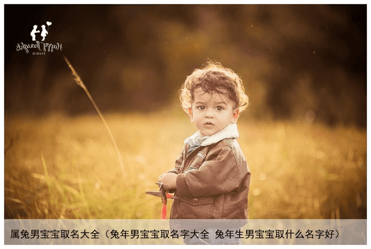 属兔男宝宝取名大全（兔年男宝宝取名字大全 兔年生男宝宝取什么名字好）