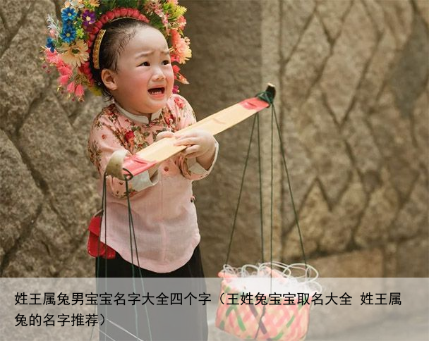 姓王属兔男宝宝名字大全四个字（王姓兔宝宝取名大全 姓王属兔的名字推荐）