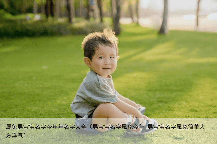 属兔男宝宝名字今年年名字大全（男宝宝名字属兔今年 男宝宝名字属兔简单大方洋气）