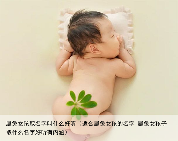 属兔女孩取名字叫什么好听（适合属兔女孩的名字 属兔女孩子取什么名字好听有内涵）