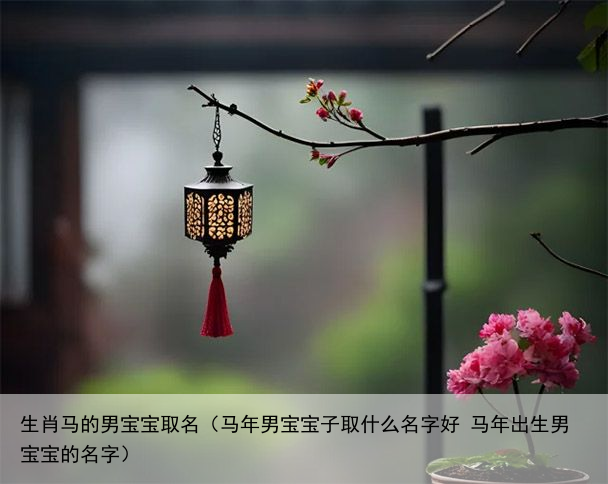 生肖马的男宝宝取名（马年男宝宝子取什么名字好 马年出生男宝宝的名字）