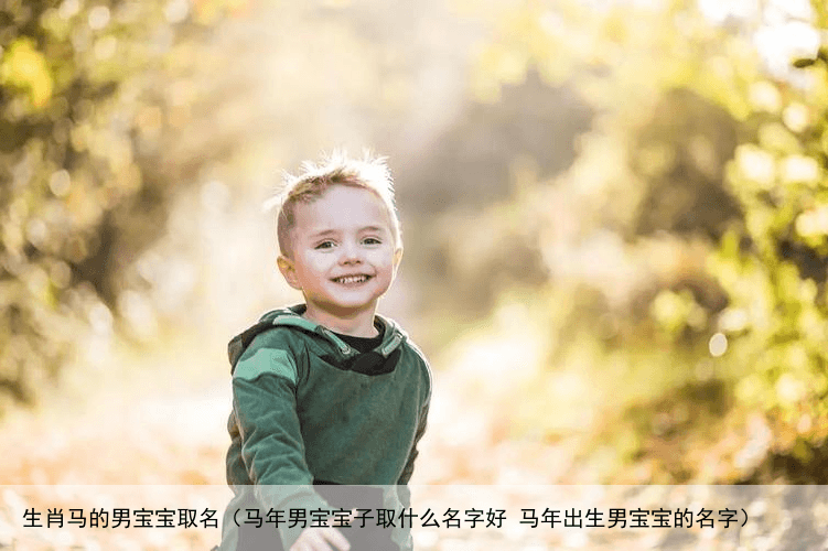 生肖马的男宝宝取名（马年男宝宝子取什么名字好 马年出生男宝宝的名字）