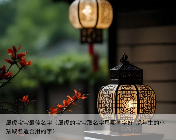 属虎宝宝最佳名字（属虎的宝宝取名字用哪些字好 虎年生的小孩取名适合用的字）
