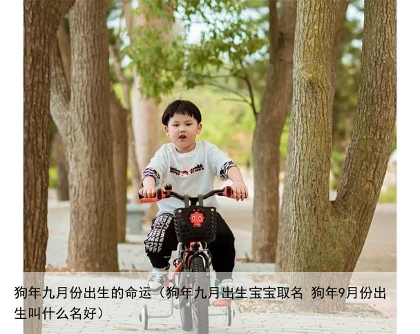 狗年九月份出生的命运（狗年九月出生宝宝取名 狗年9月份出生叫什么名好）